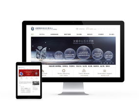 先鋒時代 成都互動多媒體設(shè)計與網(wǎng)站建設(shè)的融合與創(chuàng)新